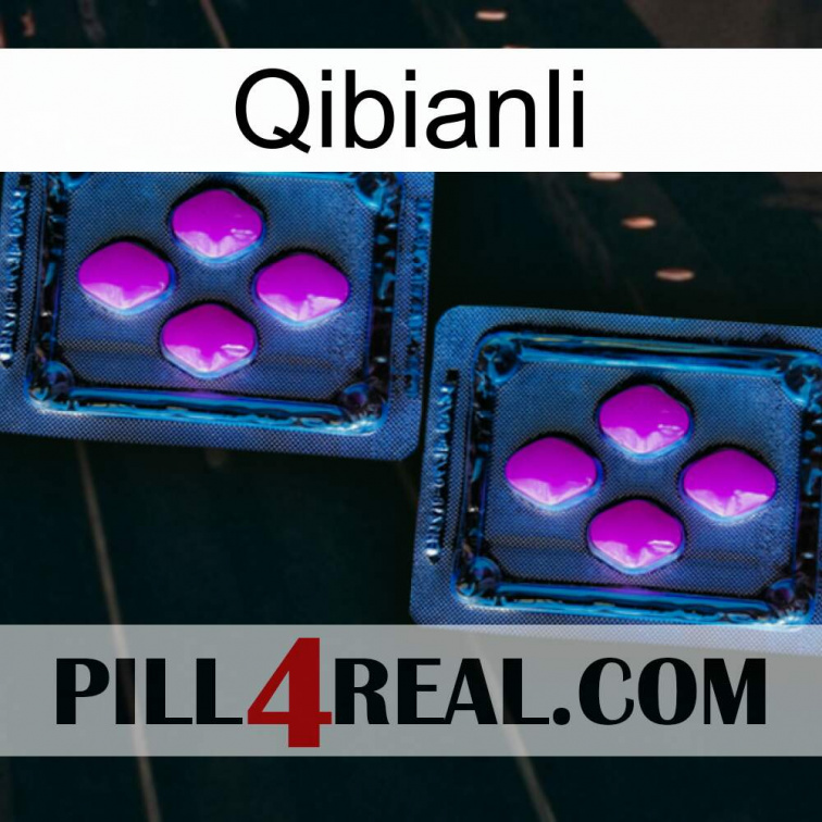 Qibianli 03